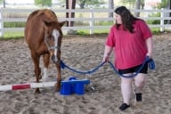A student leads a horse over a low jump in an arena